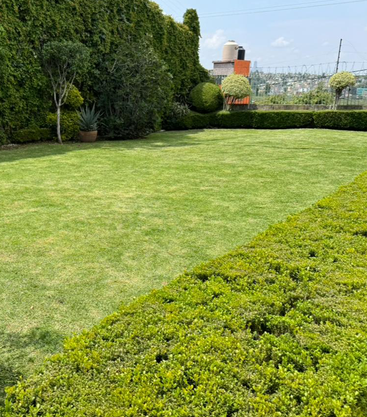 ></div>
       </a>
             
                             
          </div>
            <nav class=